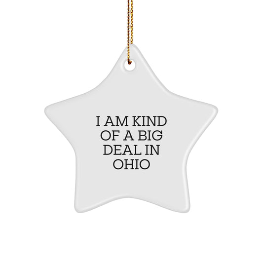 Funny Ohio Star Ornament Gifts from Men to Friends and Family for Ohio Christmas Unique Decorations - Image 1