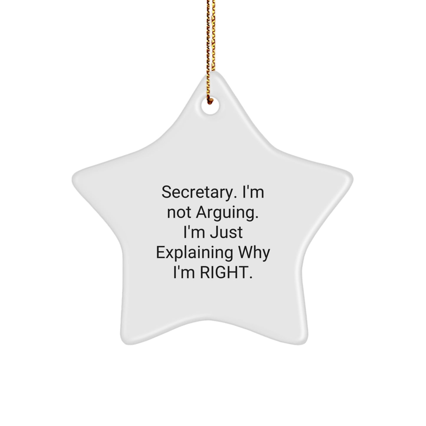Funny Secretary Star Ornament Gifts from Friends for Men Women Coworkers Family - Christmas Unique Decorations - Image 1