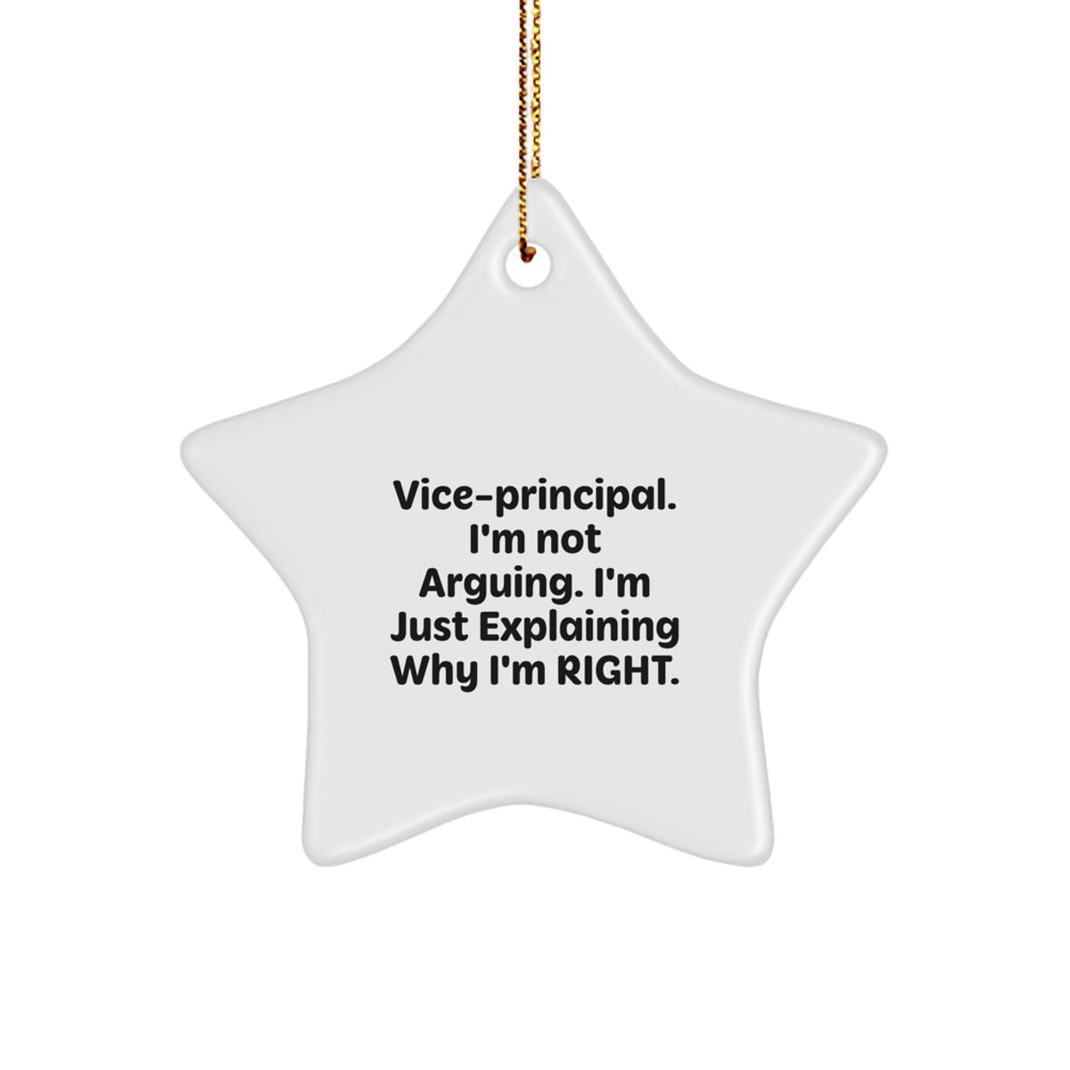 Funny Vice Principal Gifts from Friends, Christmas Unique Star Ornament, Explaining Why I'm Right Vice Principal Decorations - Image 1