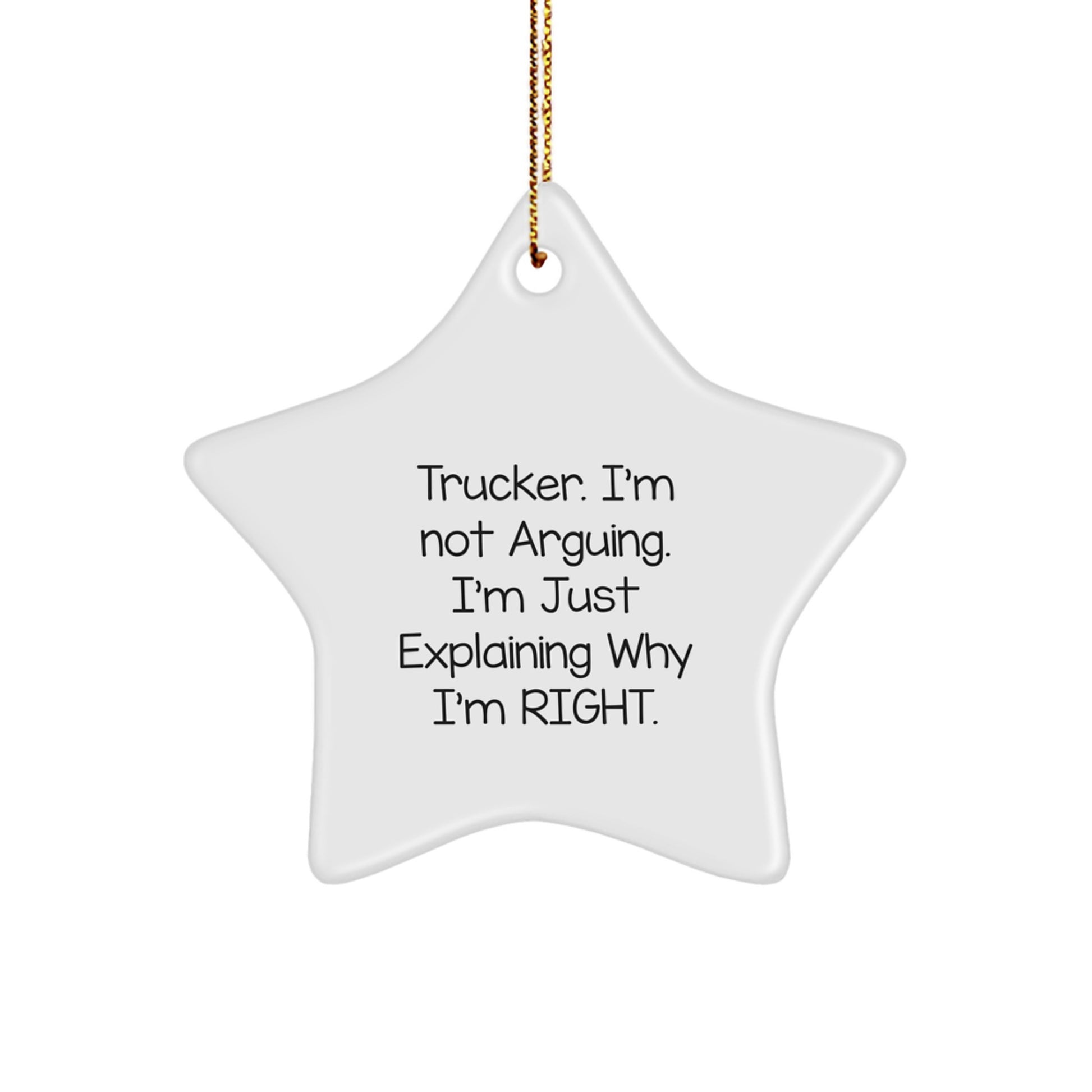 Funny Trucker Gifts from Friends, Star Ornament for Men and Women with Inspirational Quote, Unique Christmas Decorations - Image 1