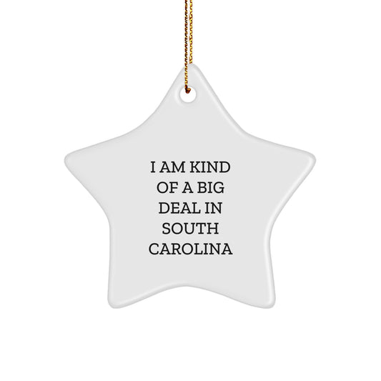 Funny South Carolina Star Ornament Gifts from Men to Women, Friends, Family, or Coworkers, Best Christmas Unique Gifts for South Carolina Enthusiasts - Image 1
