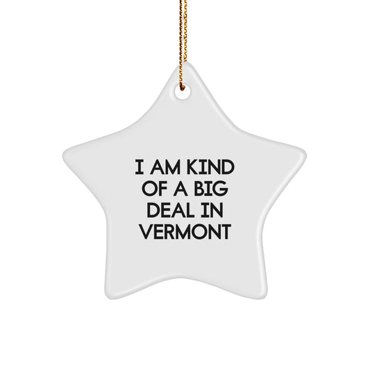Funny Star Ornament from Vermont, Ideal Gifts for Men or Women, Christmas Unique Star Decorations, I Am Kind Of A Prime Selection In Vermont - Image 1
