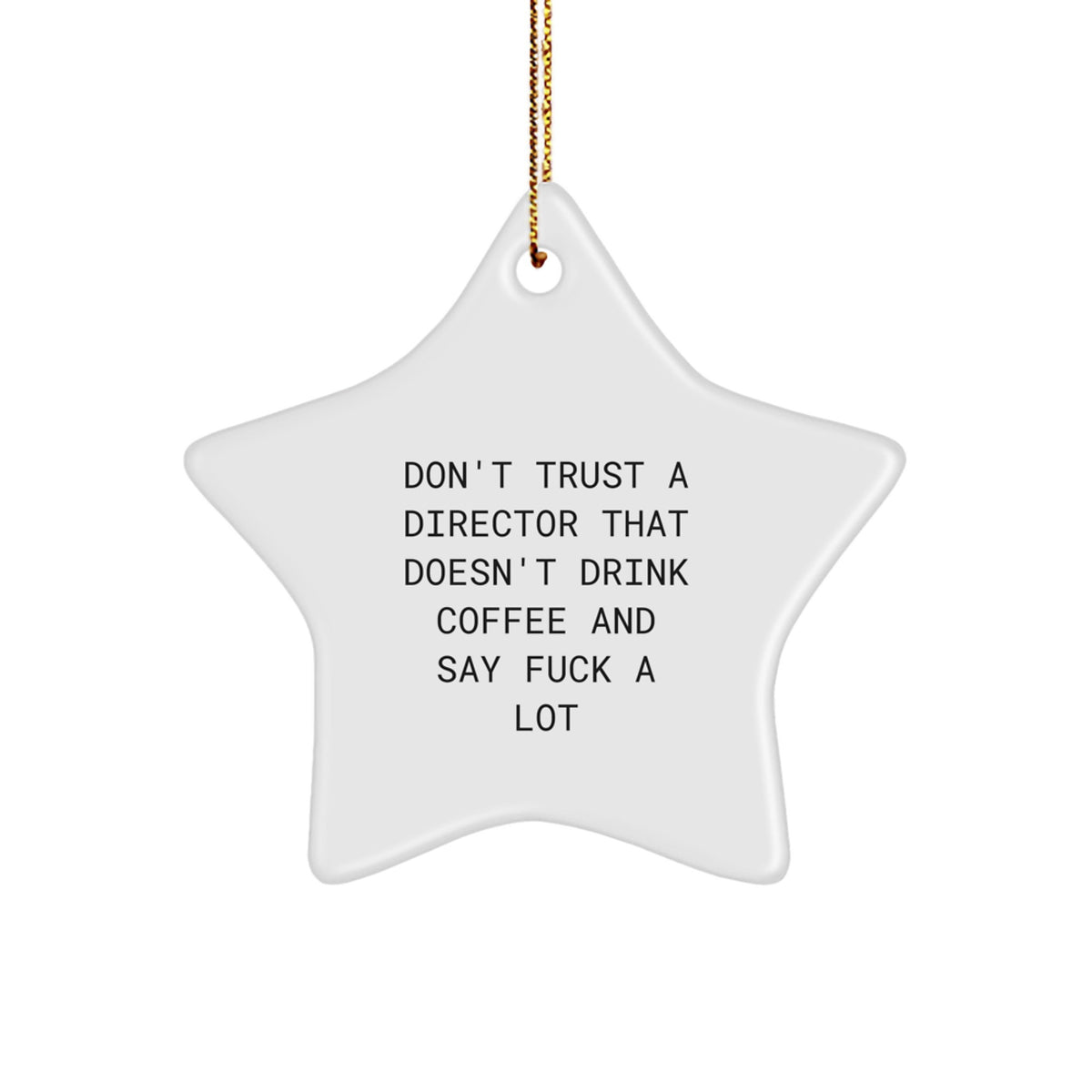 Director Star Ornament Treasure for Family Humorous Christmas Gift - Image 1
