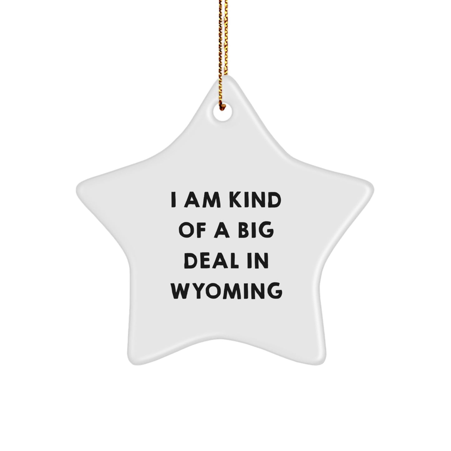 Wyoming Star Ornament Funny Motivational Gifts from Friends for Men Women Coworkers Family in Christmas Unique Decorations - Image 1