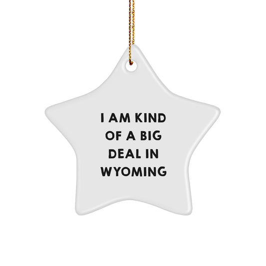 Wyoming Star Ornament Funny Motivational Gifts from Friends for Men Women Coworkers Family in Christmas Unique Decorations - Image 1