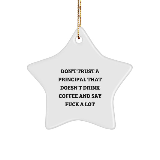 Funny Principal Star Ornament Gifts from Men to Principal - Christmas Unique Gifts for Principal - Image 1