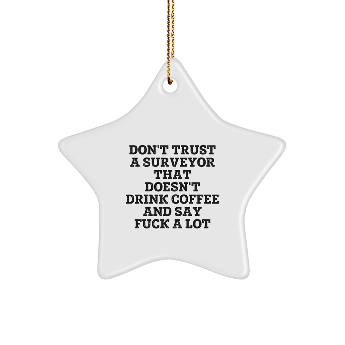Bold Surveyor Star Ornament Gift for Friends Christmas - Image 1
