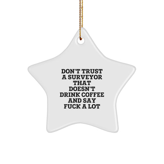 Bold Surveyor Star Ornament Gift for Friends Christmas - Image 1