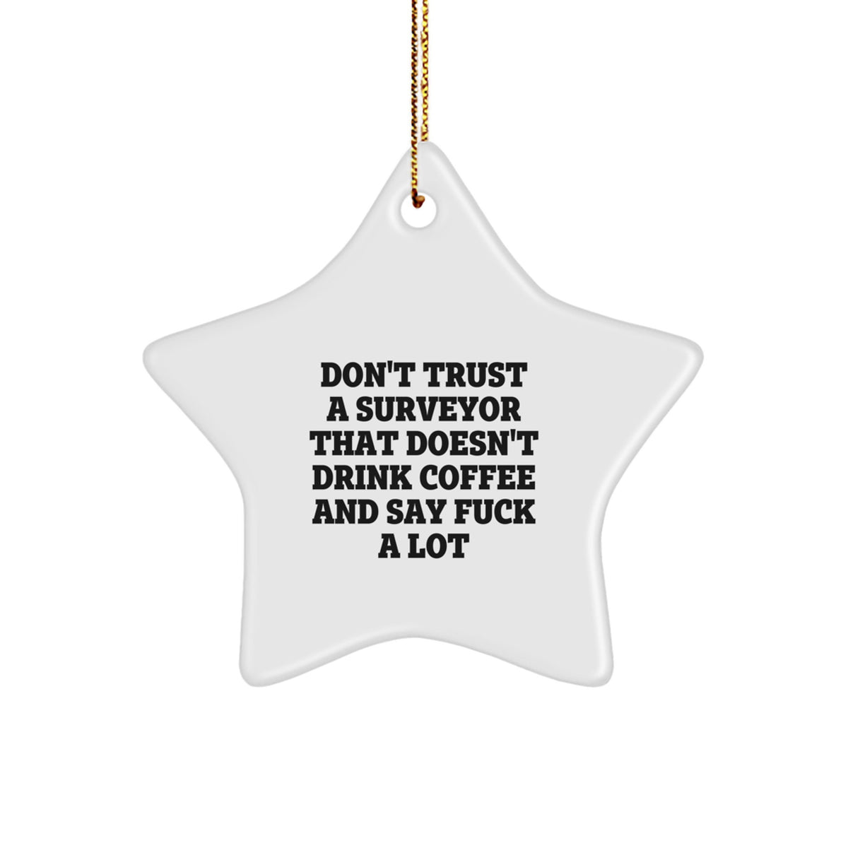 Surveyor Favorite Star Ornament Christmas Gift for Kids - Image 1