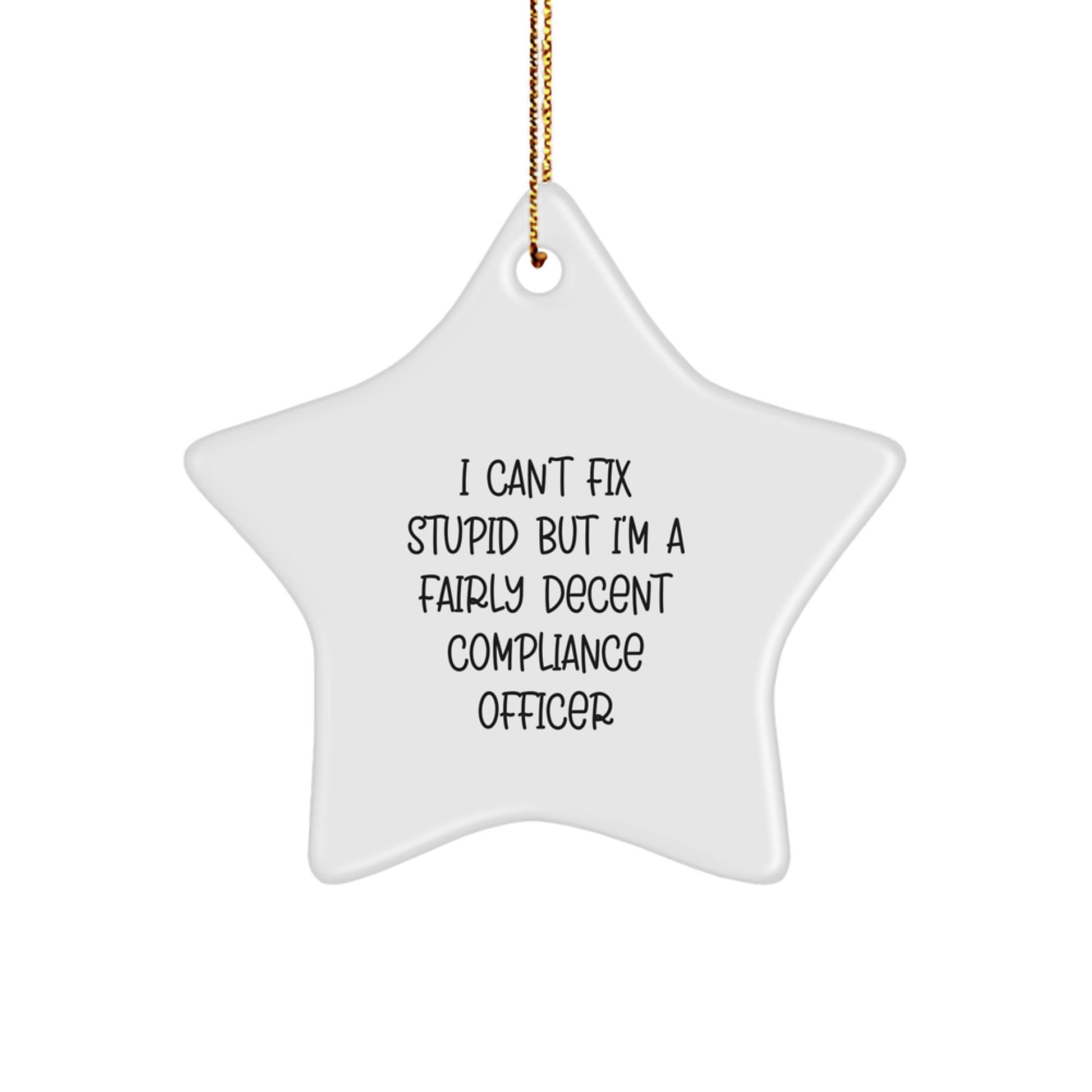 Funny Compliance Officer Star Ornament Gifts from Friends for Men and Women - I Can't Fix Stupid but I'm A Decent Compliance Officer Christmas Unique Gifts - Image 1