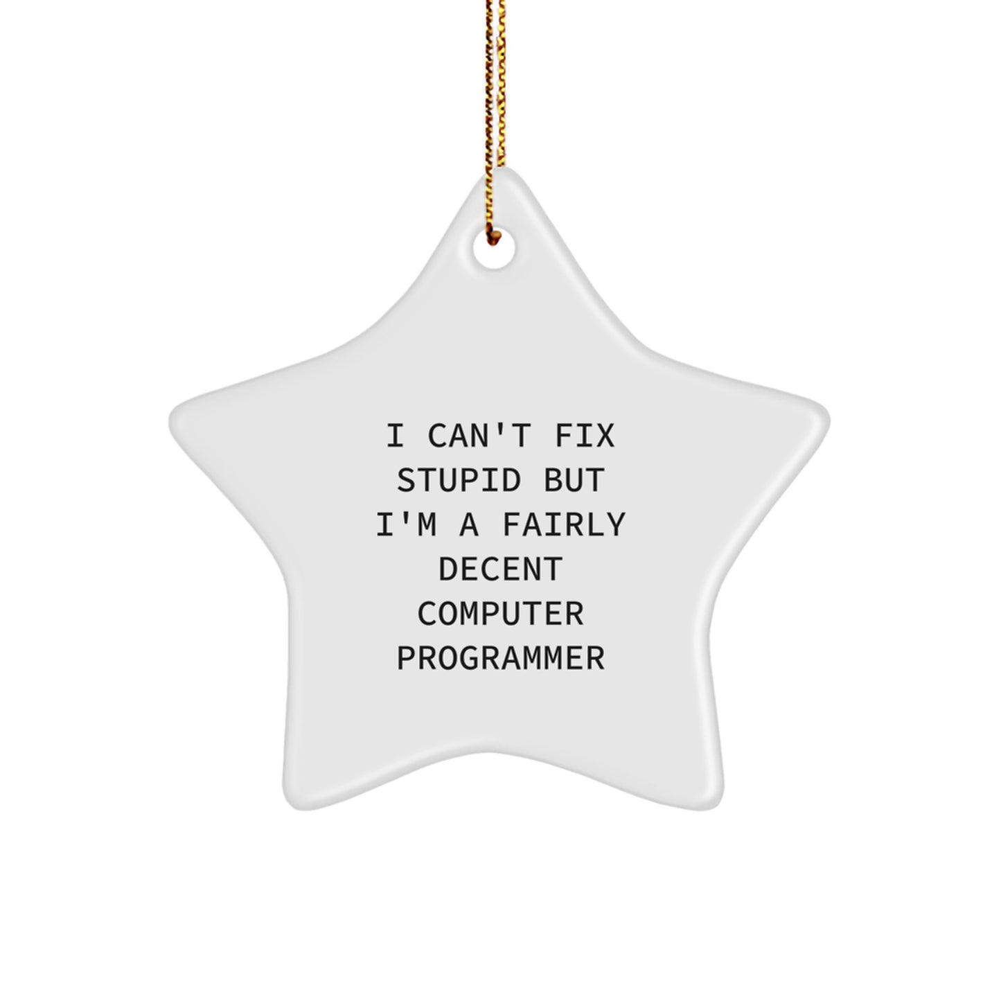 Computer Programmer Gifts from Friends - Funny Star Ornament for Men, Women, and Coworkers - I Can't Fix Stupid But I'm A Fairly Decent Computer Programmer Christmas Unique Gifts - Image 1