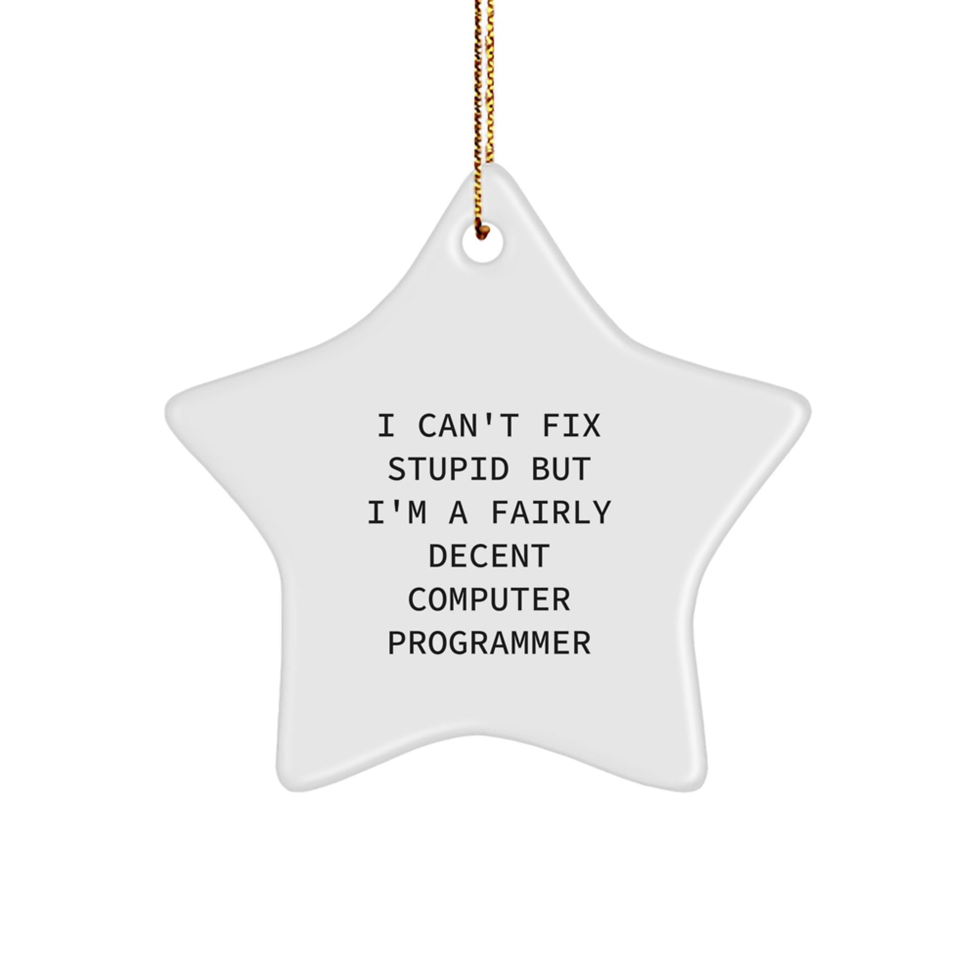 Computer Programmer Gifts from Friends - Funny Star Ornament for Men, Women, and Coworkers - I Can't Fix Stupid But I'm A Fairly Decent Computer Programmer Christmas Unique Gifts - Image 1