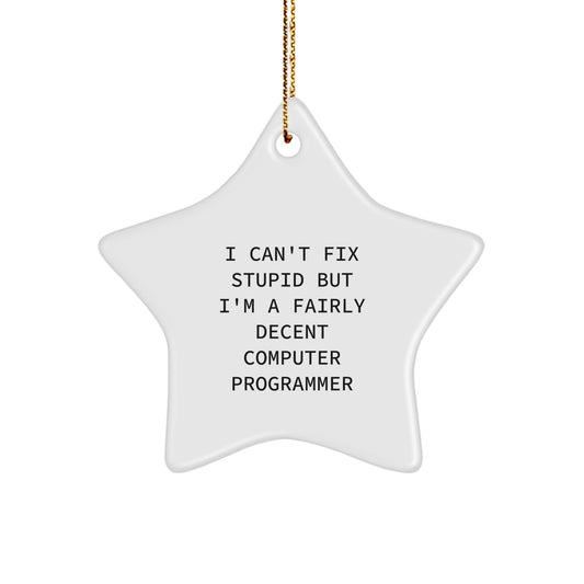 Computer Programmer Gifts from Friends - Funny Star Ornament for Men, Women, and Coworkers - I Can't Fix Stupid But I'm A Fairly Decent Computer Programmer Christmas Unique Gifts - Image 1