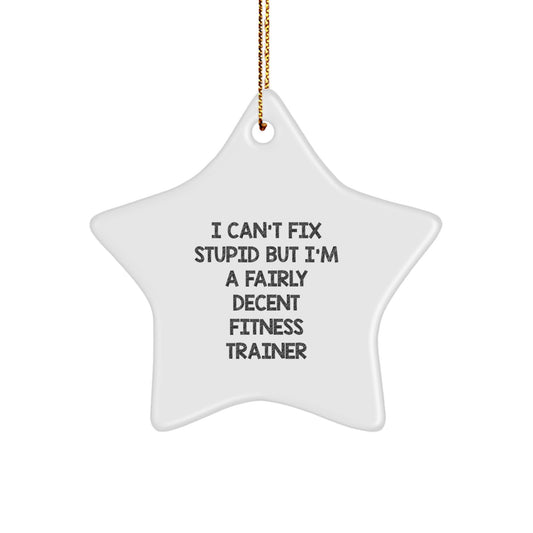 Funny Fitness Trainer Christmas Unique Gift from Friends to Men, Star Ornament I Cant Fix Stupid But Im A Decent Fitness Trainer, Holiday Unique Gifts - Image 1