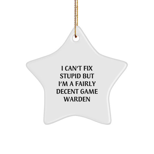 Funny Game Warden Gifts from Friends, Christmas Unique Gifts for Men, Game Warden Star Ornament with Inspirational Quote I Can't Fix Stupid But I'm A Fairly Decent Game Warden - Image 1