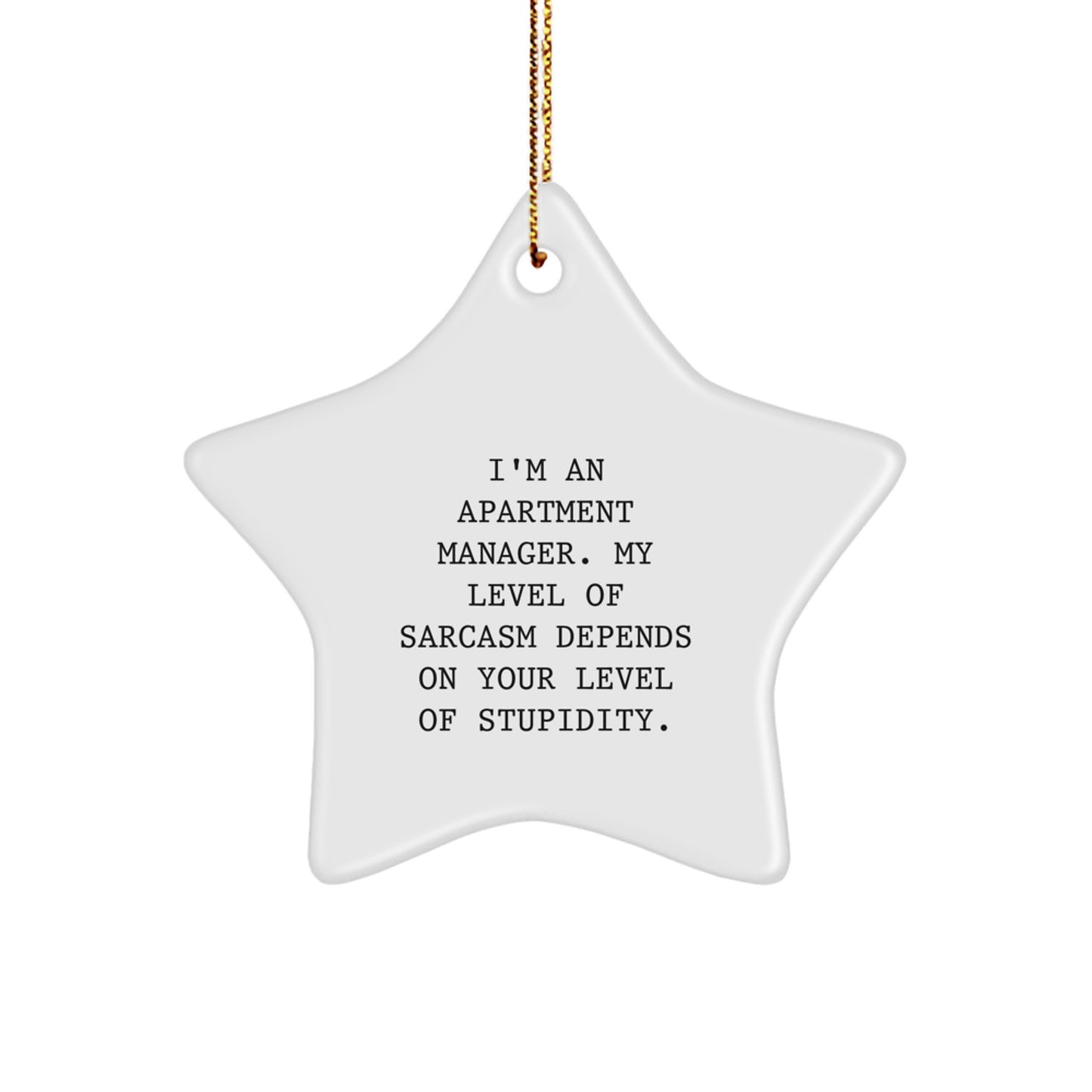 Funny Apartment Manager Star Ornament Gifts from Friends, Unique Christmas Decorations for the Office, Perfect for Women and Men - Image 1