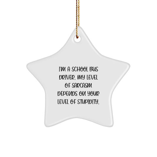 Funny School Bus Driver Christmas Unique Gifts from Friends - Star Ornament, I'm A School Bus Driver Gifts for Men - Image 1