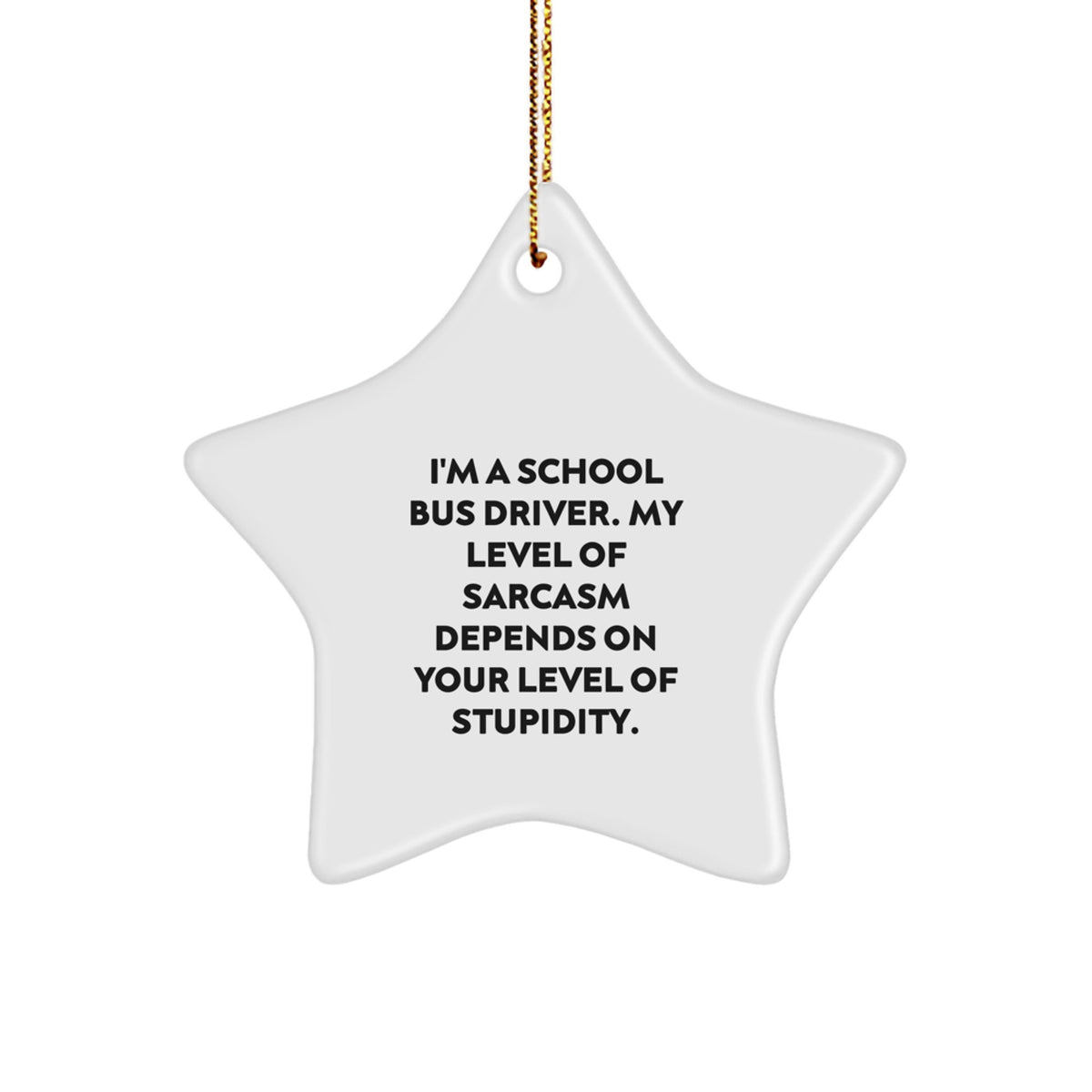 For Him Keepsake School Bus Driver Sarcasm Christmas Ornament Gift - Image 1