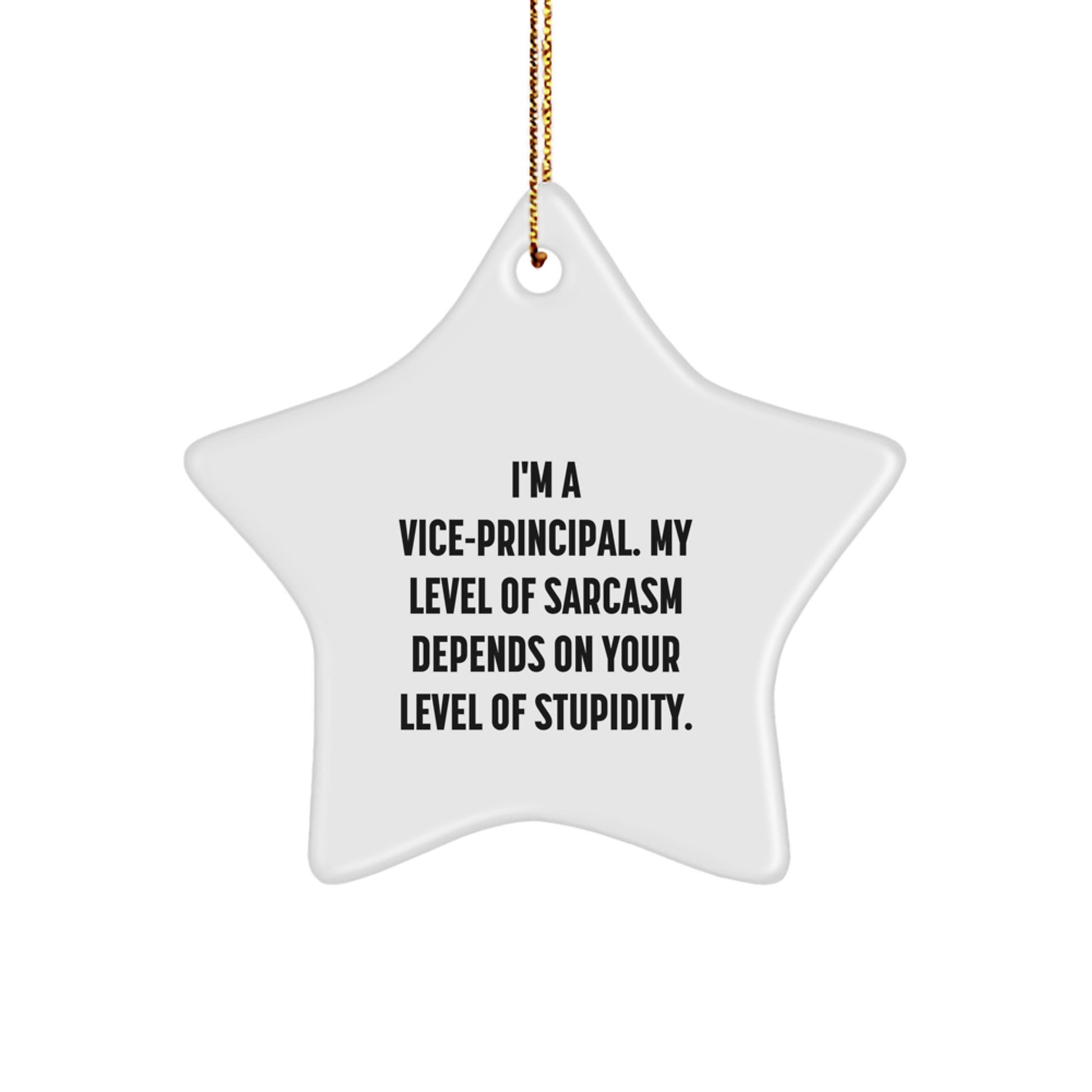 Funny Vice-principal Office Decor, Sarcastic Star Ornament for Vice-principal Friends, Gifts from Men to Vice-principal Coworkers for Christmas Unique Gifts - Image 1
