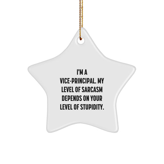 Funny Vice-principal Office Decor, Sarcastic Star Ornament for Vice-principal Friends, Gifts from Men to Vice-principal Coworkers for Christmas Unique Gifts - Image 1