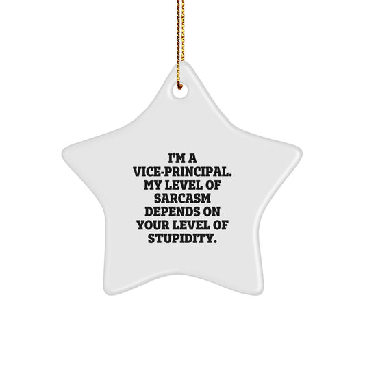 Funny Vice Principal Gifts for Men - I'm a Vice Principal, My Level of Sarcasm Depends on Your Level of Stupidity, Christmas Unique Star Ornament from Friends - Image 1