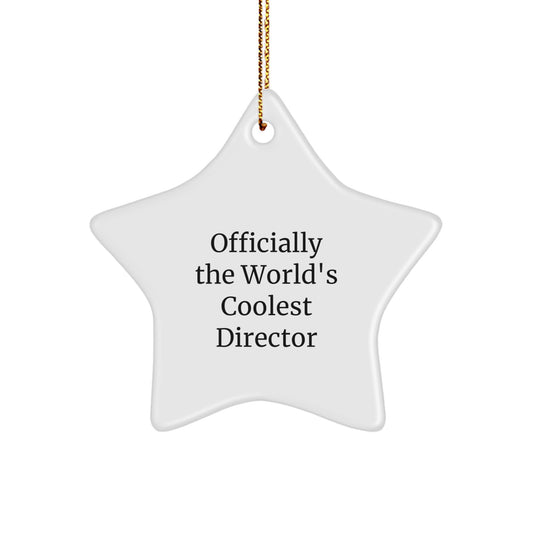 Funny Christmas Unique Gifts for Director - Officially The World's Coolest Director Star Ornament, Unique Director Gift Ideas from Friends, Family - Image 1