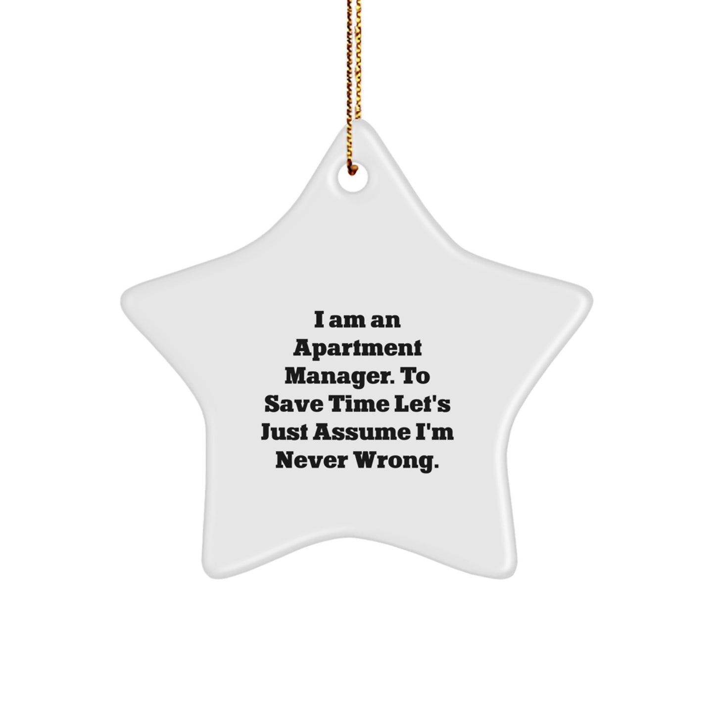 Apartment Manager Keepsake Christmas Unique Gift for Him – Star Ornament - Image 1