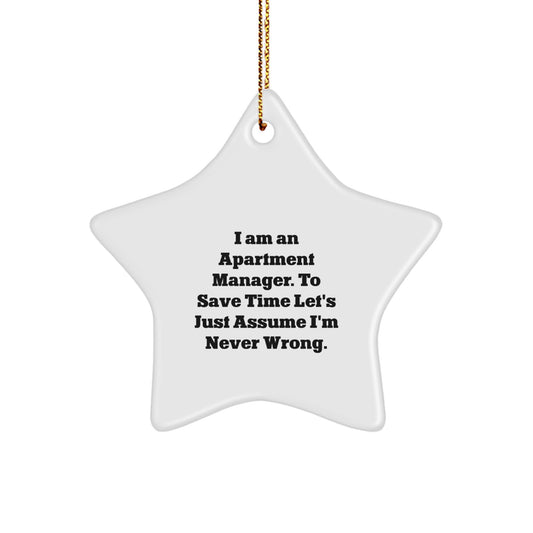 Apartment Manager Keepsake Christmas Unique Gift for Him – Star Ornament - Image 1