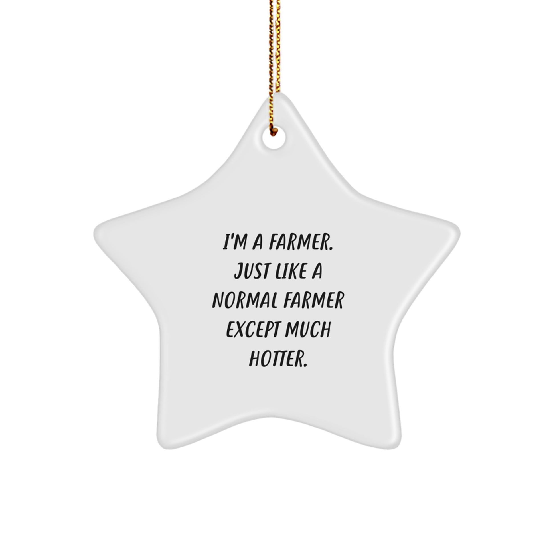 Stunning Farmer Keepsake Christmas Ornament for Him Gift Bright - Image 1