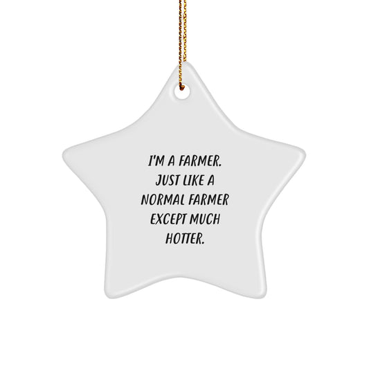 Stunning Farmer Keepsake Christmas Ornament for Him Gift Bright - Image 1