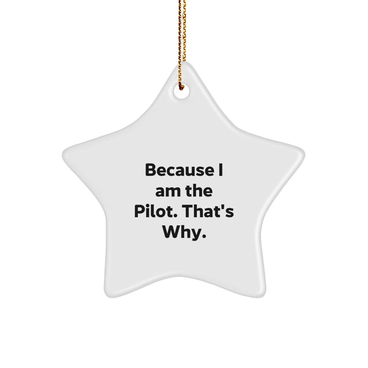 Funny Pilot Gifts for Him, Star Ornament Because I Am The Pilot That's Why, Men Christmas Unique Gifts from Friends - Image 1