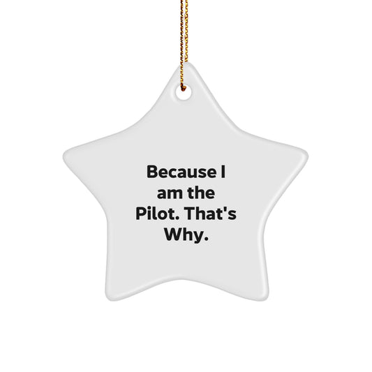 Funny Pilot Gifts for Him, Star Ornament Because I Am The Pilot That's Why, Men Christmas Unique Gifts from Friends - Image 1