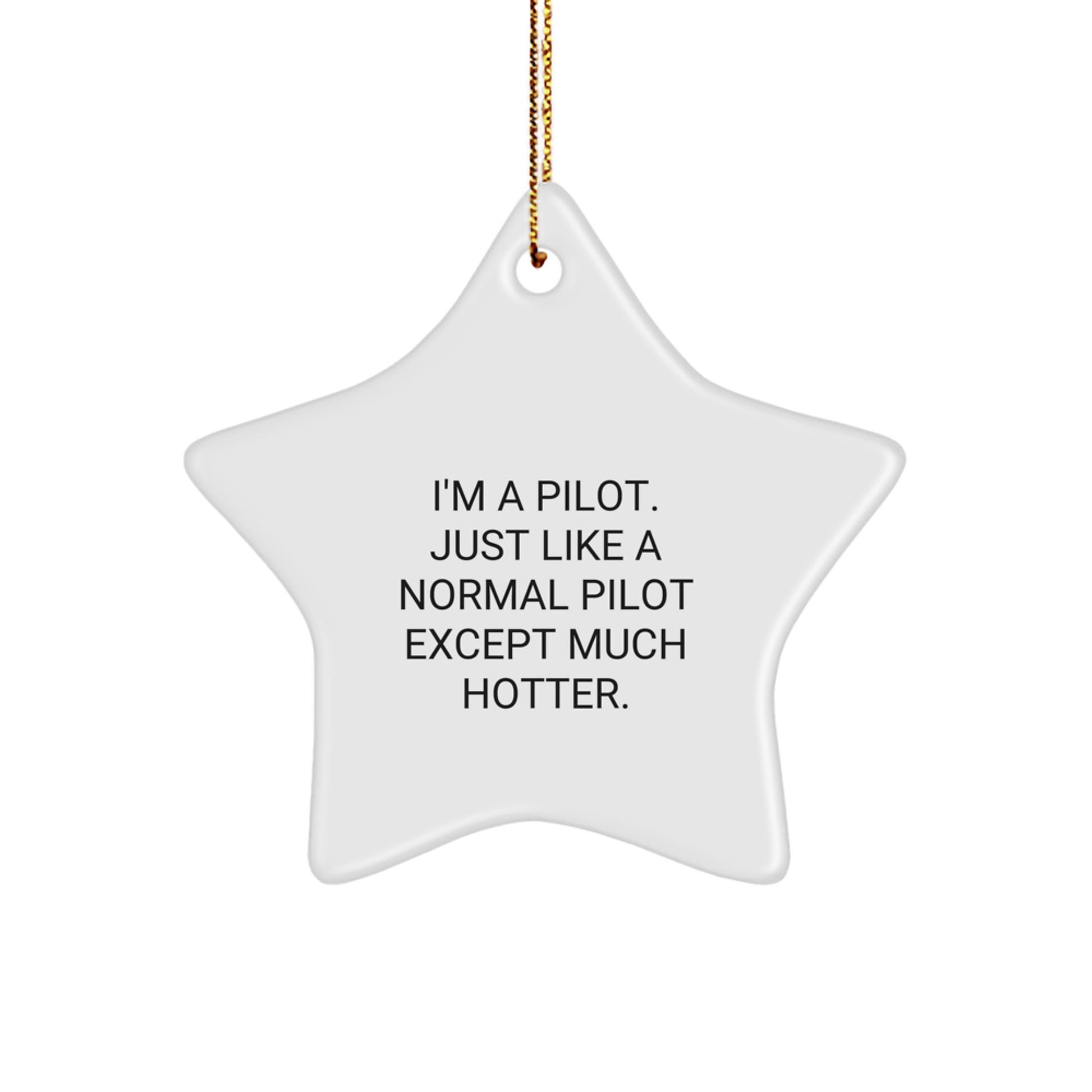 Funny Pilot Star Ornament Gifts for Pilot Friends and Family - Hotter Pilot Christmas Unique Gifts from Friends, A Perfect Pilot Present for Men or Women - Image 1