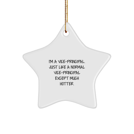 Funny Vice-principal Gifts for Men - Vice-principal Star Ornament - Gifts from Friends - Christmas Unique Gifts for Vice-principal - Image 1