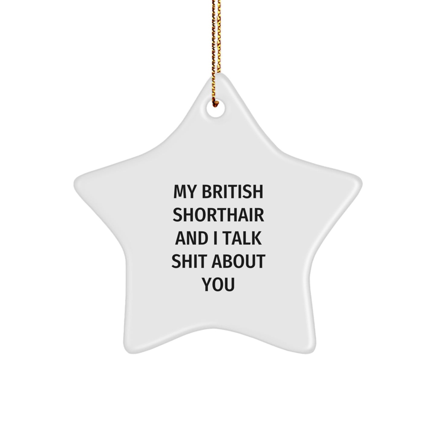 Funny British Shorthair Cat Star Ornament For My British Shorthair And I Talk Shit About You Christmas Unique Gift from Men to British Shorthair Cat Lovers - Image 1