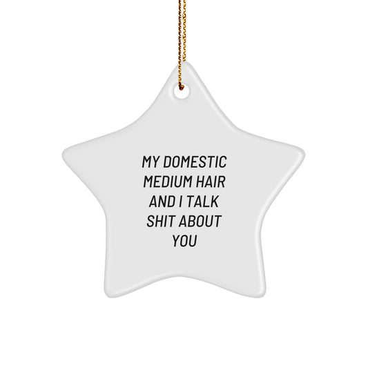 Funny Christmas Unique Gifts for Domestic Medium Hair - Star Ornament with 'My Domestic Medium Hair And I Talk Shit About You' Quote - Perfect Domestic Medium Hair Gift Ideas from Me to You - Image 1