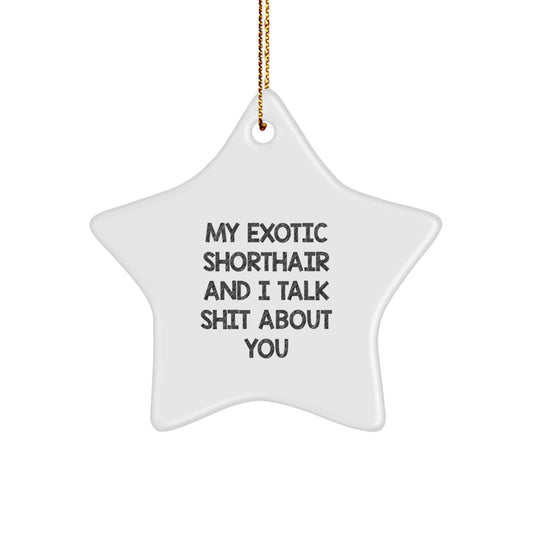 Funny Exotic Shorthair Cat Lover Star Ornament Gifts from Family for Exotic Shorthair Cat Owners Christmas Unique Gifts - Image 1