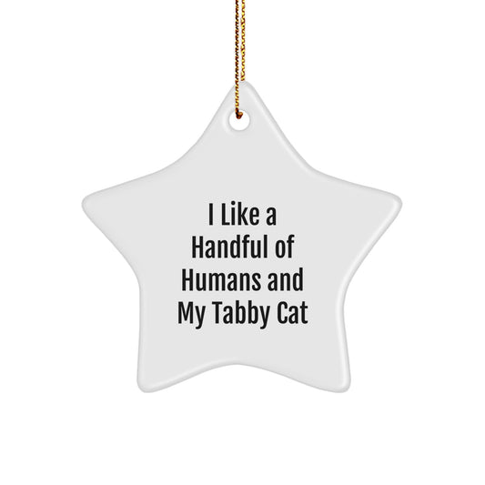Funny Tabby Cat Star Ornament Gifts from Friends, Family for Christmas - Image 1