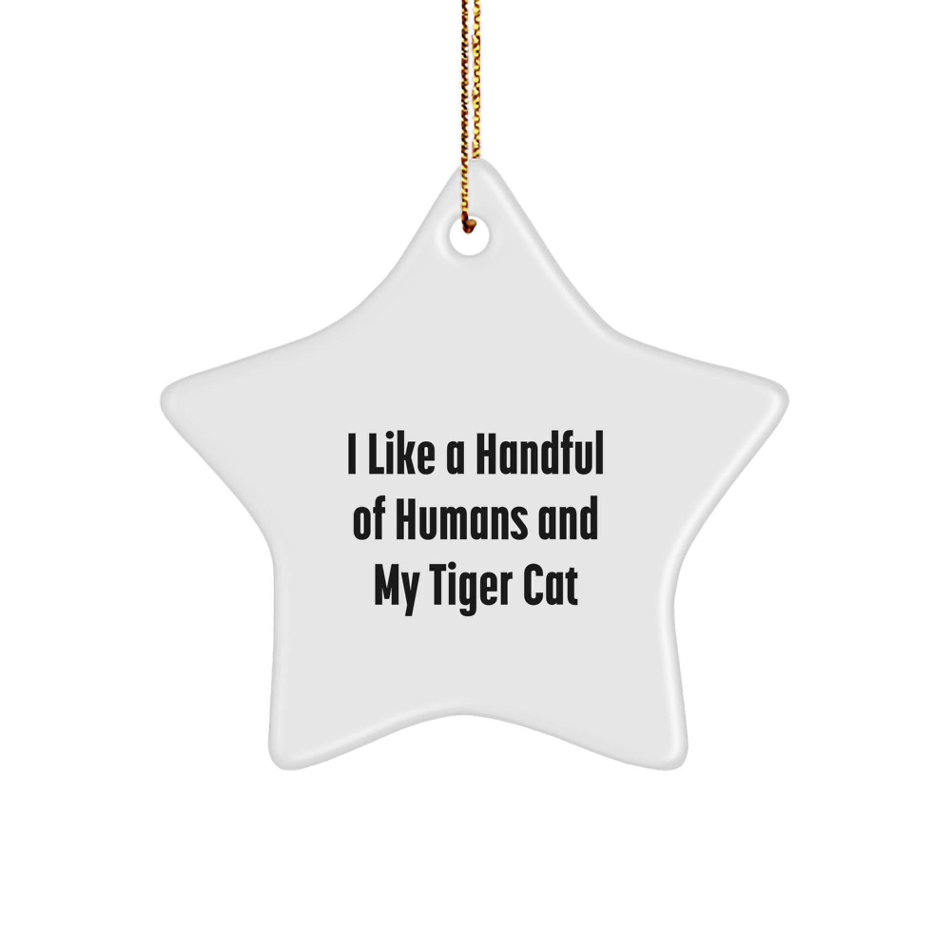 Cute Tiger Cat Star Ornament, Funny Christmas Unique Gifts for Family, Friends, or Coworkers, Tiger Cat Lover Decoration, Unique Holiday Gift Idea - Image 1