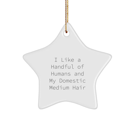 Funny Domestic Medium Hair Gifts for Home Decor Star Ornament, Gifts from Men to Women - I Like A Handful Of Humans And My Domestic Medium Hair, Christmas Unique Gifts for Domestic Medium Hair Lovers - Image 1