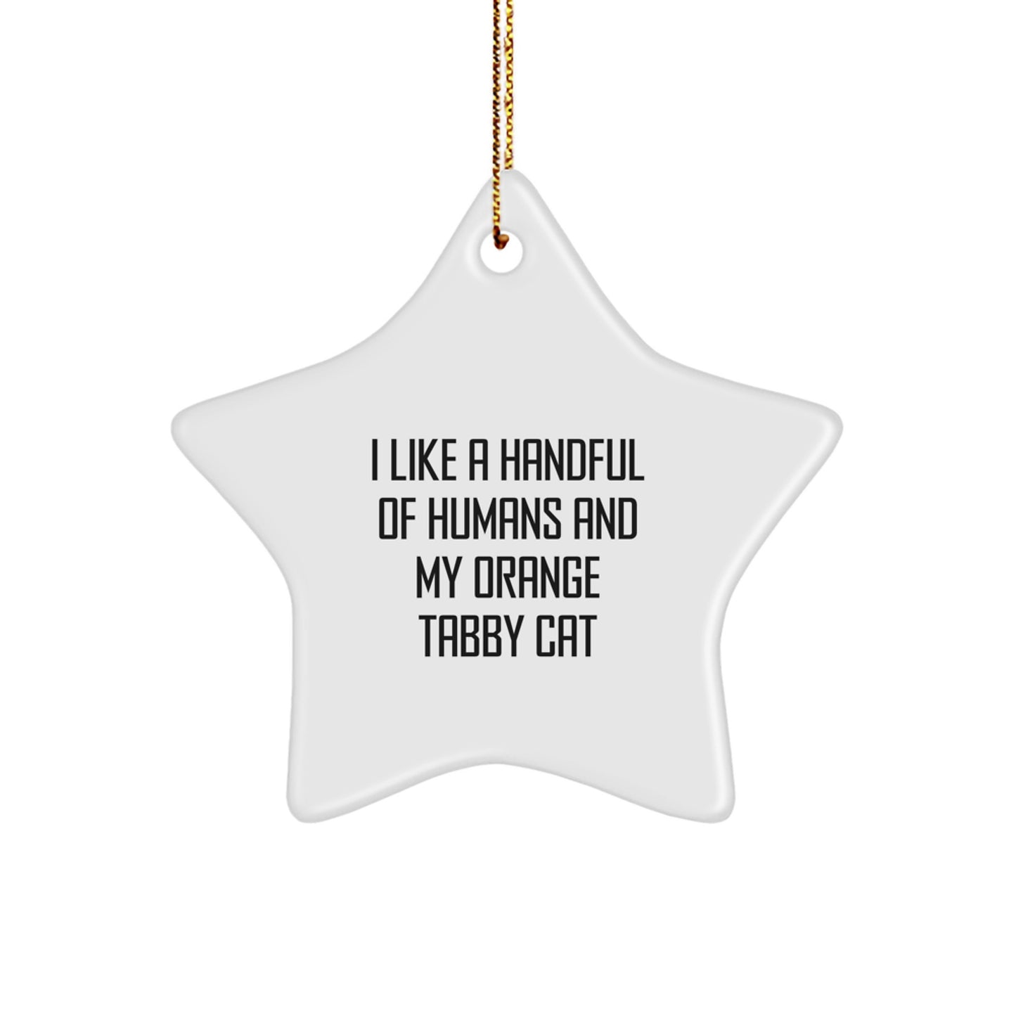Orange Tabby Cat Lover's Funny Christmas Star Ornament Gift for Family Friends Men Women from Men - Image 1