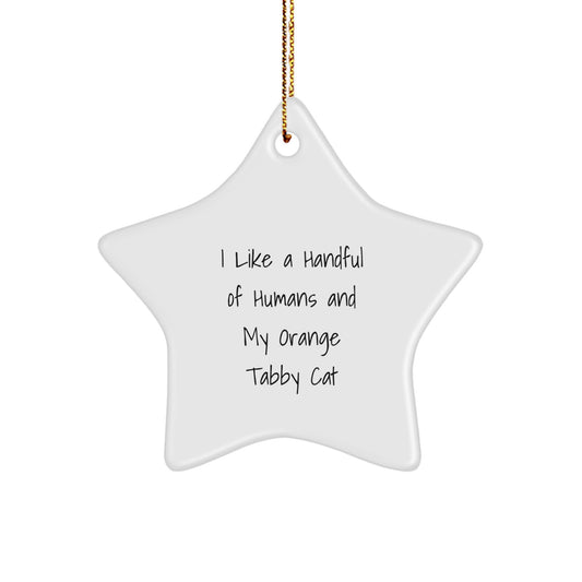 Funny Orange Tabby Cat Lover Gifts for Orange Tabby Cat Owners, Christmas Unique Ornaments for Home Decor, Gifts from Friends to Family - Image 1