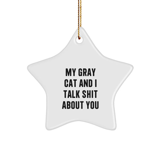 Funny Gray Cat Gifts from Friends for Christmas Unique Star Ornament, 'My Gray Cat And I Talk Shit About You' Quote, White Star Shaped Decoration - Image 1