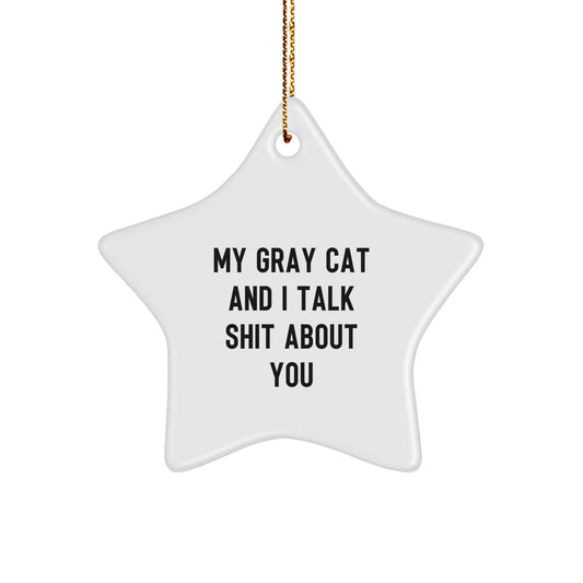 Funny Gray Cat Gifts for Men Women Friends Family - My Gray Cat And I Talk Shit About You Star Ornament - Image 1