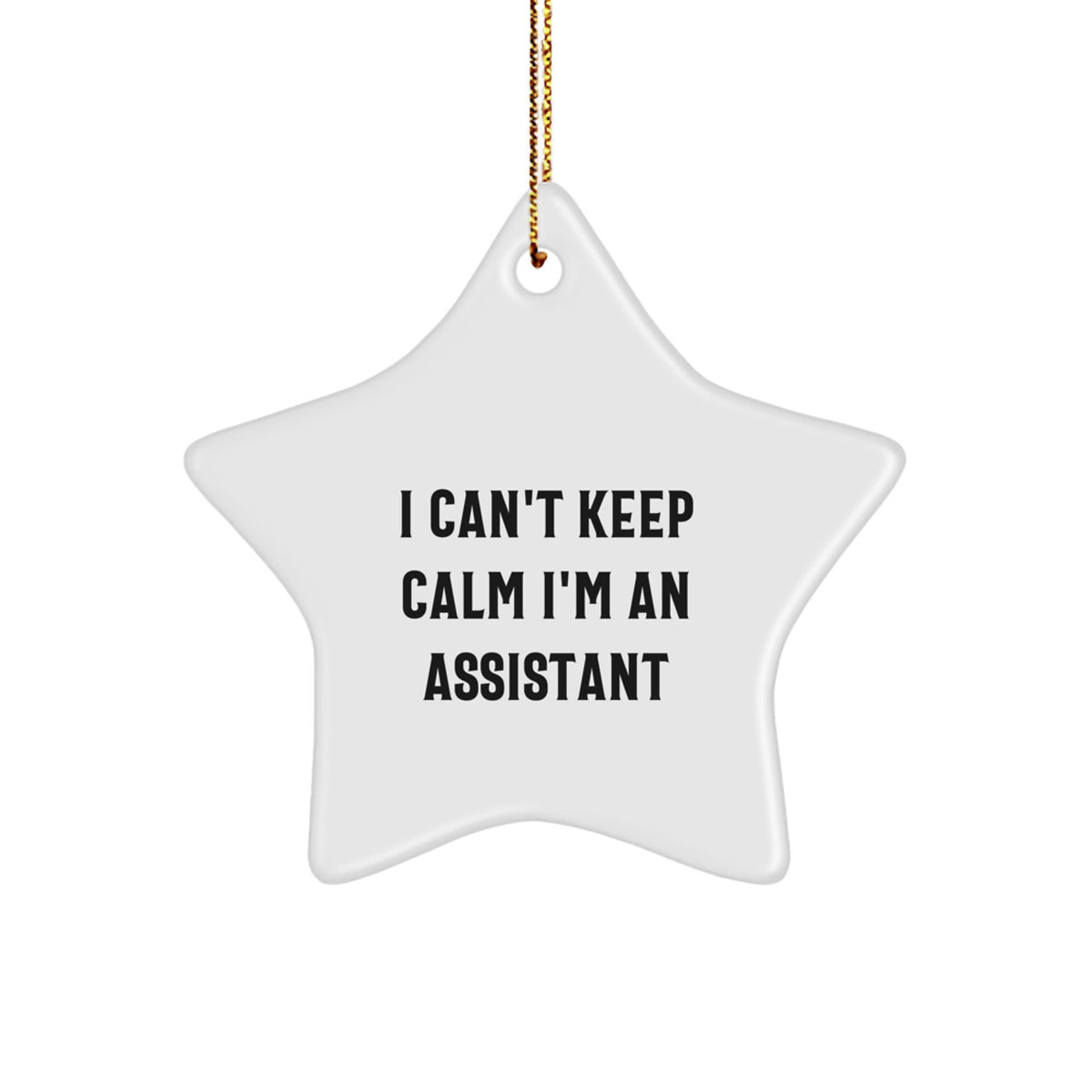 Funny I'm An Assistant Star Ornament Gifts from Friends Christmas Unique Gifts for Assistant - Image 1