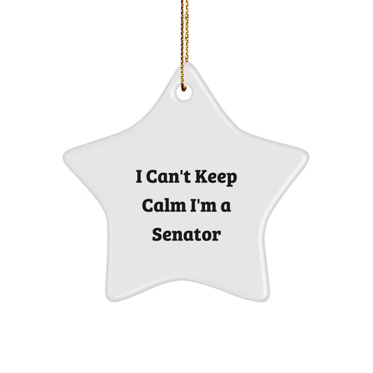 Funny Senator Star Ornament Gifts from Men to Senator Friends, Christmas Unique Senator Star Ornaments, I Can't Keep Calm I'm A Senator - Image 1