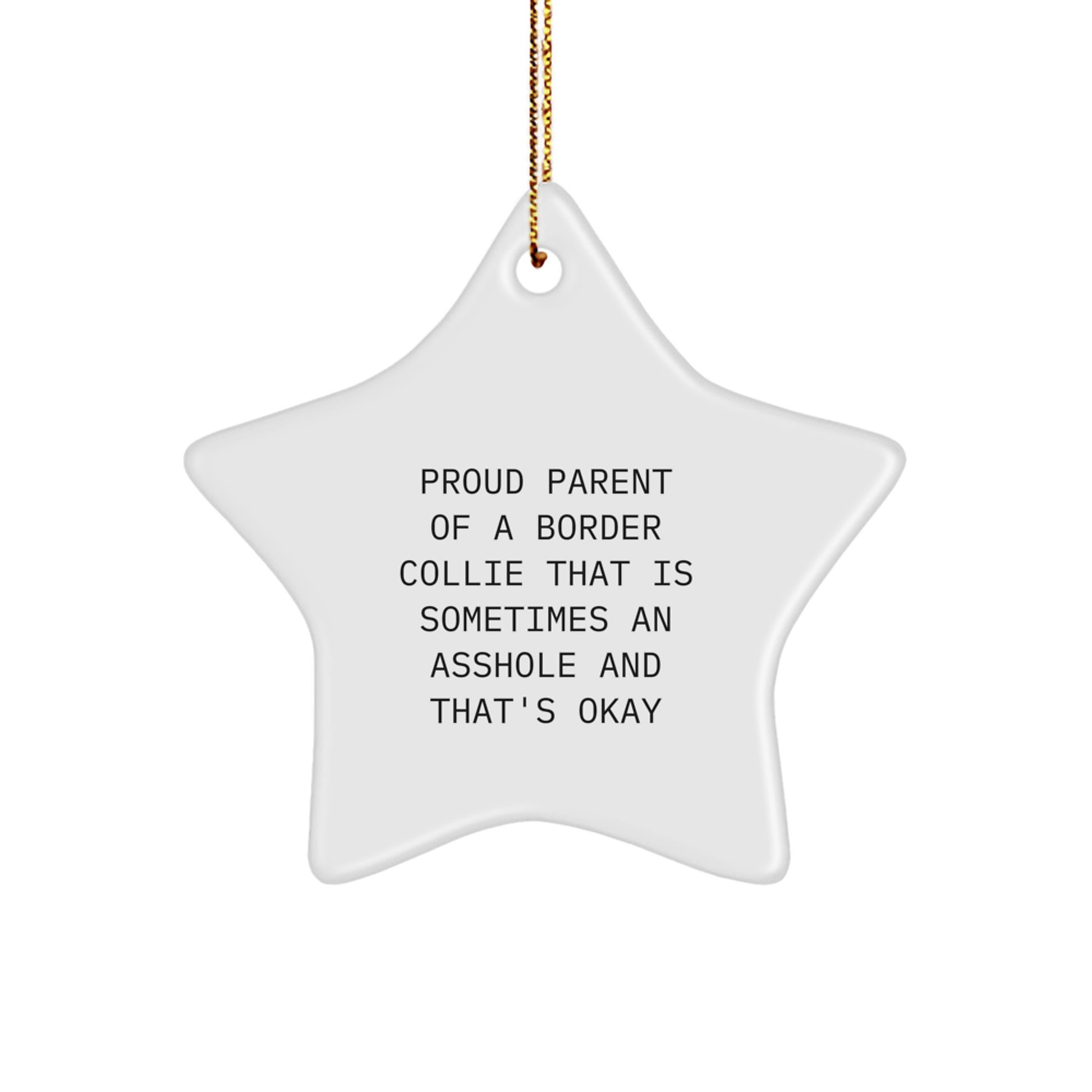 Funny Border Collie Dog Christmas Unique Gifts for Friends, Star Ornament from Men, Cute Present for Proud Parents - Image 1