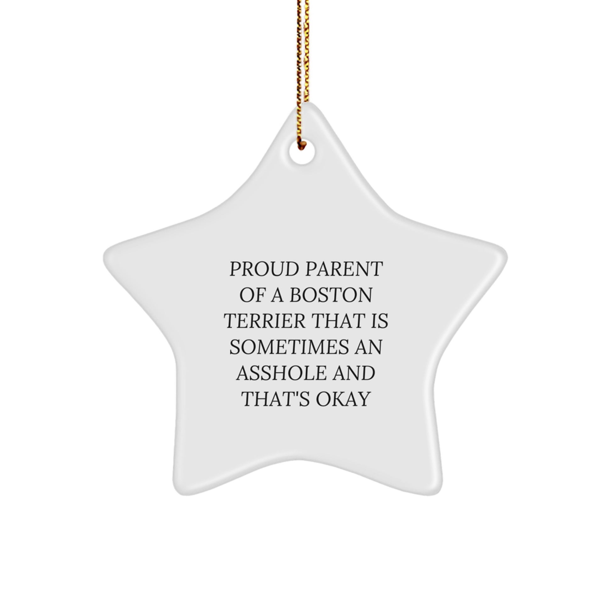 Sassy Boston Terrier Star Ornament Christmas Gift for Friends - Image 1