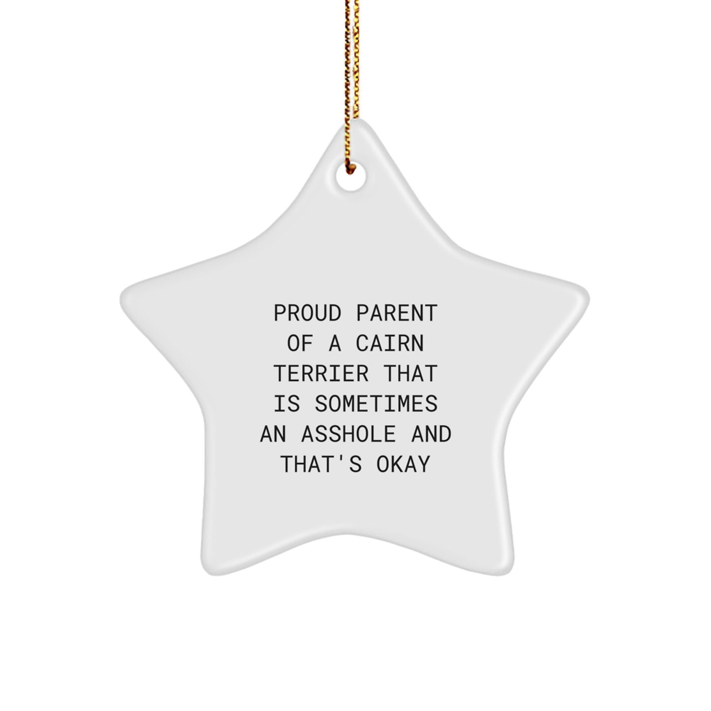 Funny Cairn Terrier Dog Star Ornament Gifts from Family to Friends for Christmas - Image 1