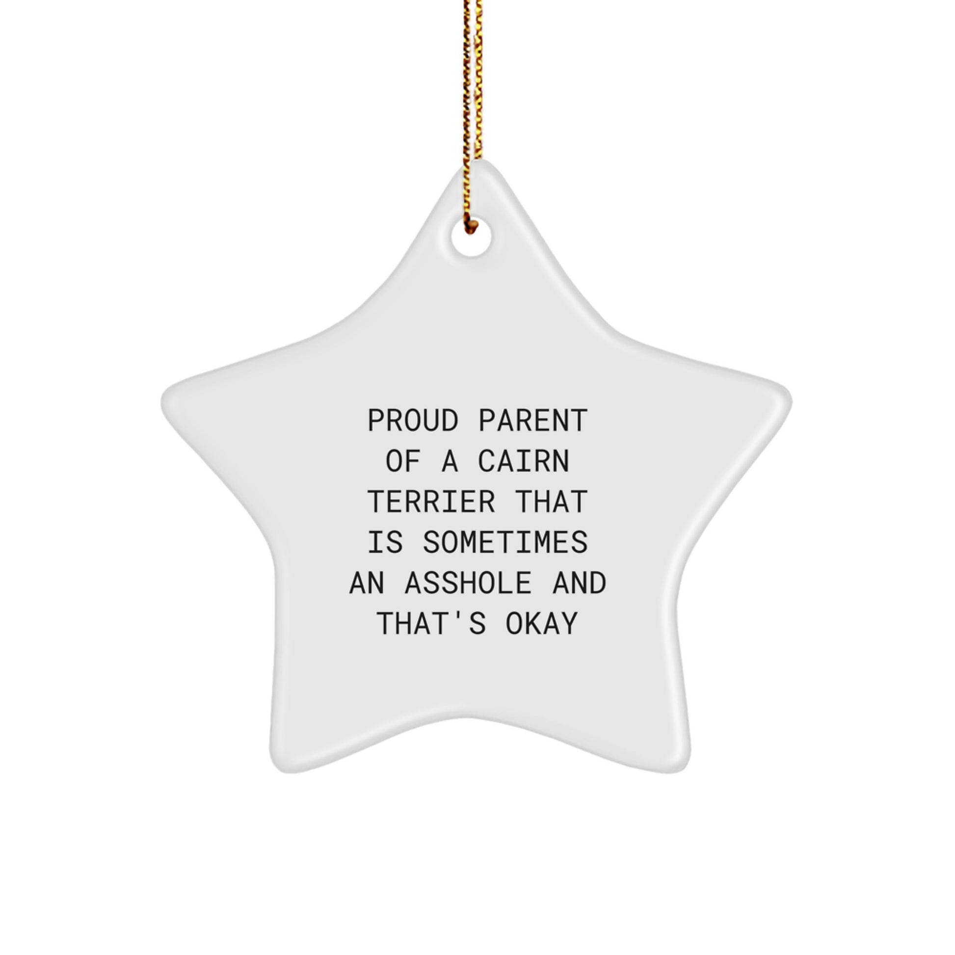 Funny Cairn Terrier Dog Star Ornament Gifts from Family to Friends for Christmas - Image 1
